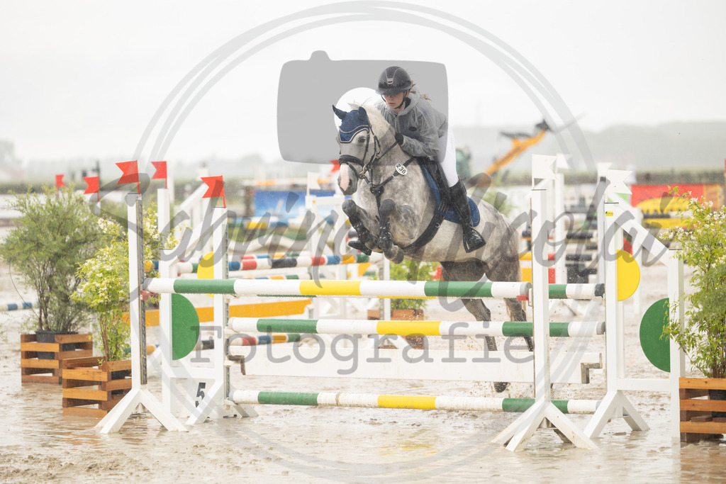 994A9786 | sabrinanicolaifotografie - Realisiert mit Pictrs.com