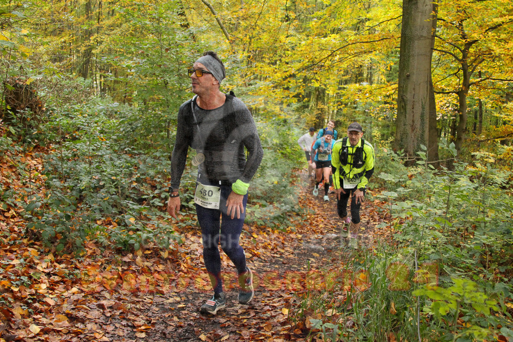 251026_1250_EV4_5923 | Sportfotografie im Rhein-Sieg Kreis, Köln, Bonn, NRW, Rheinland Pfalz, Hessen, etc. Unser Tätigkeitsfeld umfasst den Laufsport vom Volkslauf über den Marathon, Duathlon, Triathon bis zum Ultralauf wie Kölnpfad Ultra oder Schindertrail.