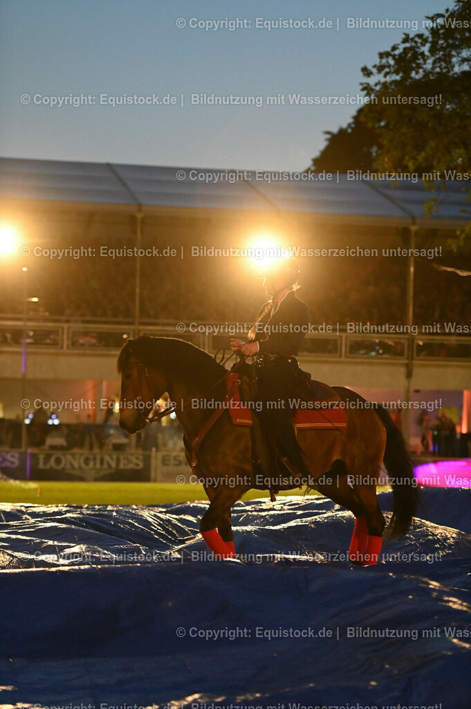 20230526_Pferdenacht_1015 | equistock
