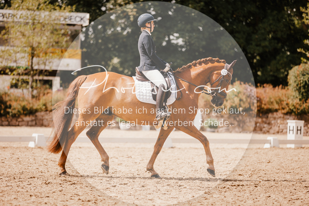 3I6A6263 | Stimmungsvolle Portraits und Reitsportfotografie im Ruhrgebiet und im Münsterland.

Pferdefotografie, Hundefotografie, Tierfotografie, Reportagen, Portraits von Tier und Mensch, Turnierfotografie in Bochum, Recklinghausen, Marl, Haltern am See, Dülmen.. - Realisiert mit Pictrs.com