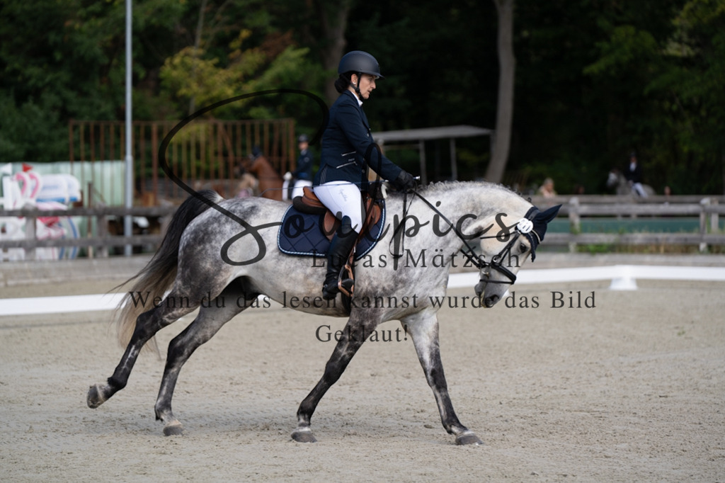 A7V06845 | Pferdefotograf