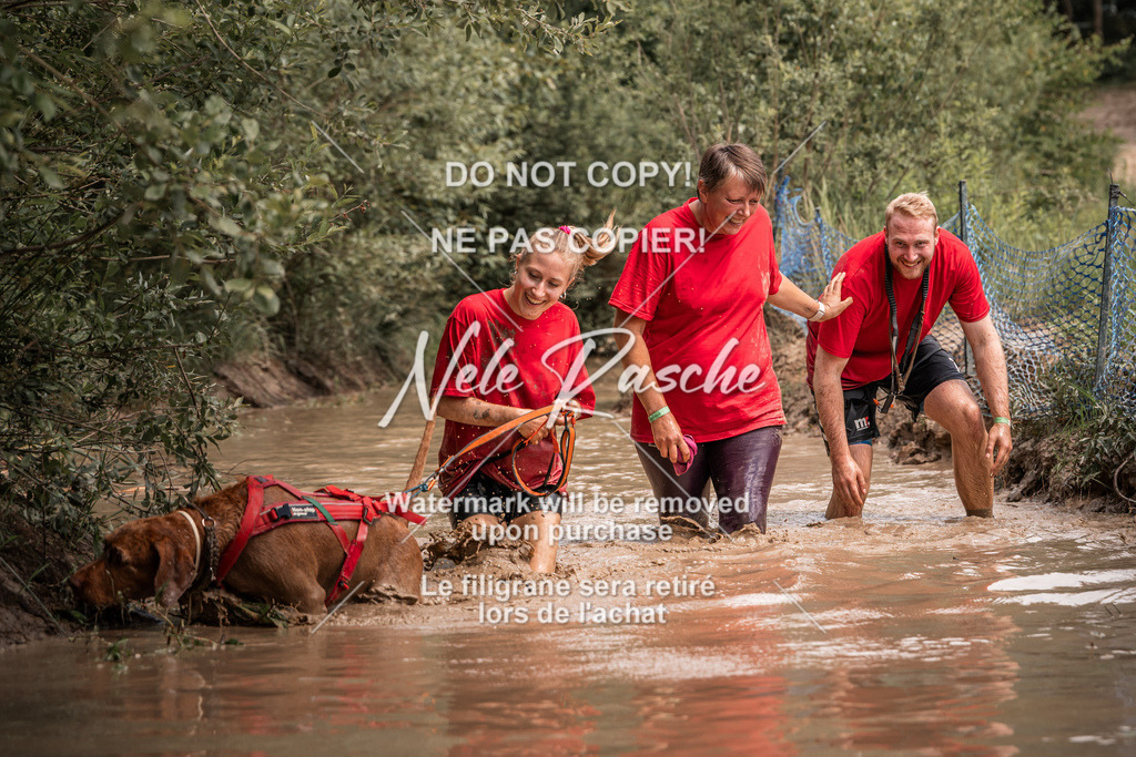 nelerasche_Hoope2026_So1400-1430_92 | nelerasche