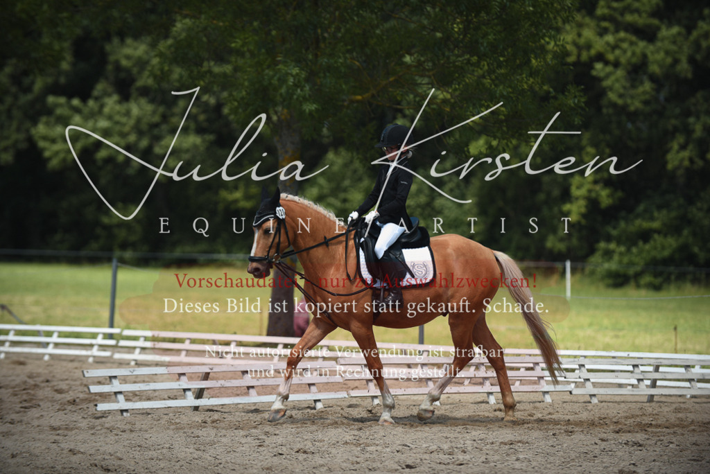 DSC_2433 | Pferde- und Turnierfotografie in Westsachsen. Pferdeportraits, Auftragszeichnungen und intuitive Kunst.
