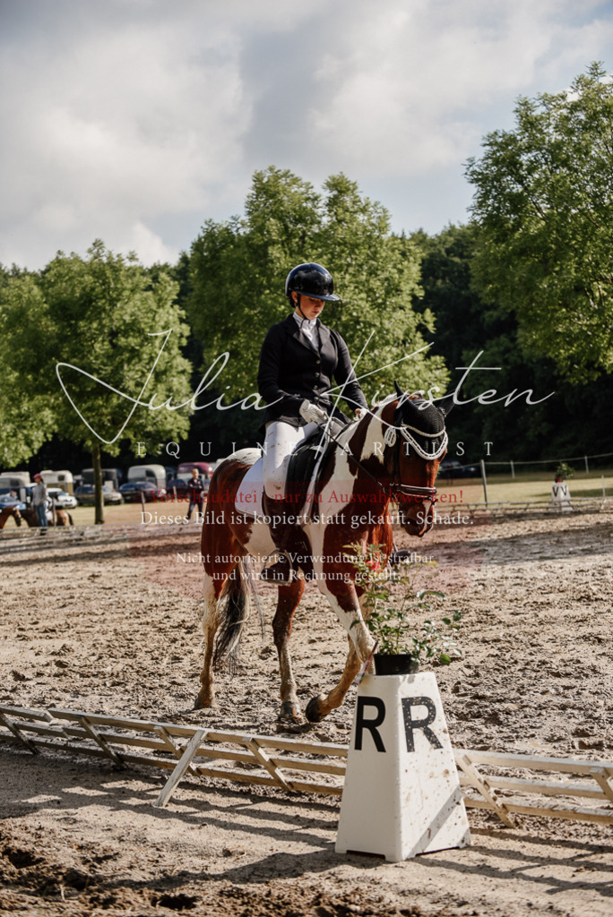 DSC_8760 | Pferde- und Turnierfotografie in Westsachsen. Pferdeportraits, Auftragszeichnungen und intuitive Kunst.