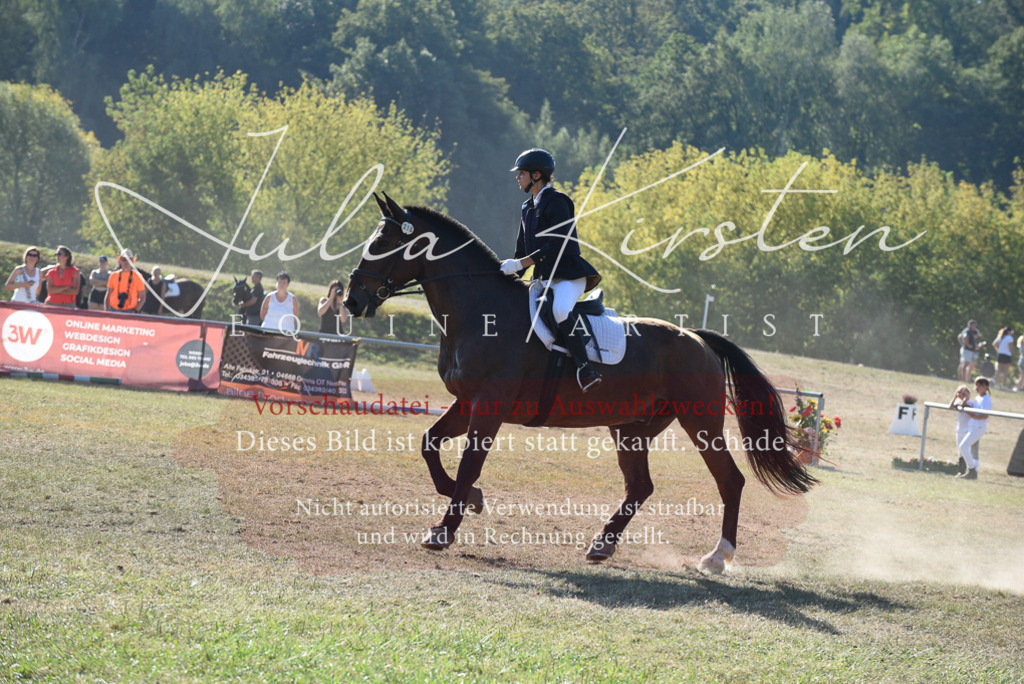DSC_5779 | Pferde- und Turnierfotografie in Westsachsen. Pferdeportraits, Auftragszeichnungen und intuitive Kunst.