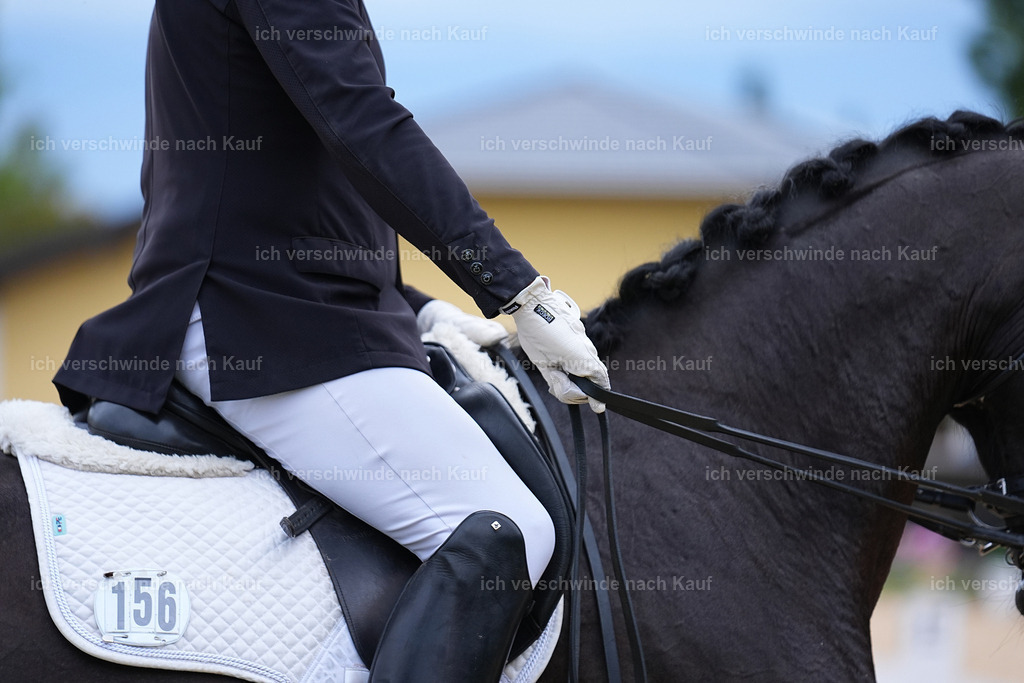 04_2-156-Dressur M__ -Marixx-3048 | working equitationturnier fotograf videograf stoibphotography marixx film working equitation deutschland reitsport turnierfotografie eventfotografie equestrian events
