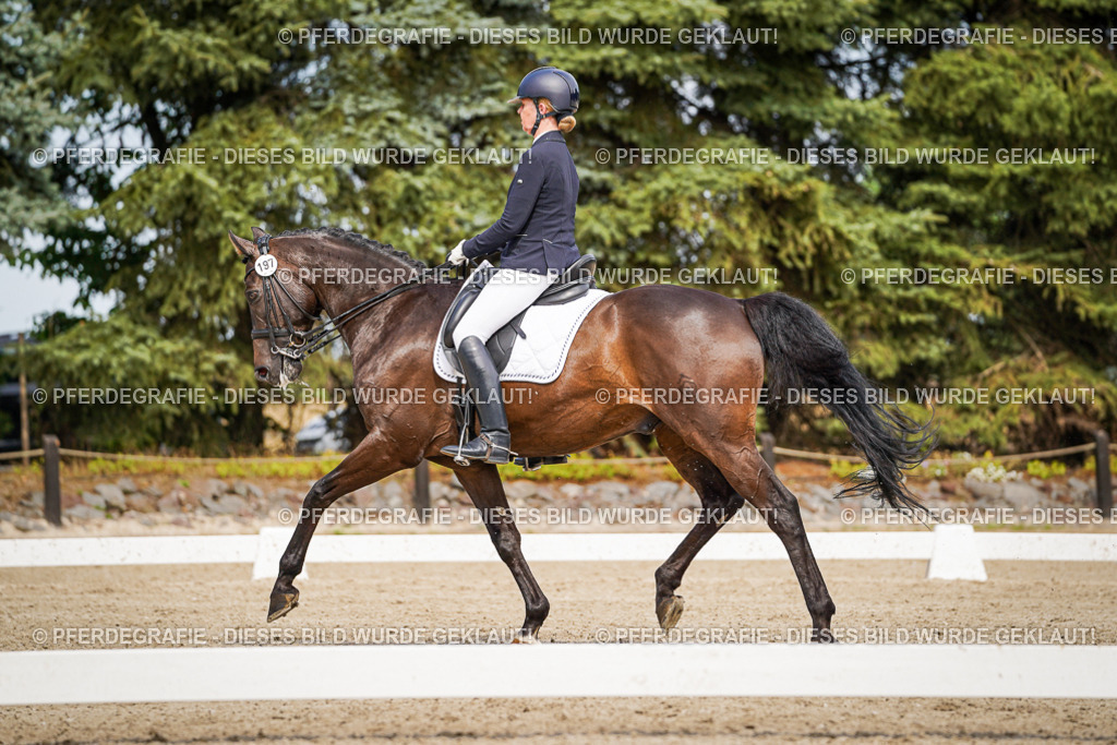 DSC05928 | Pferdegrafie