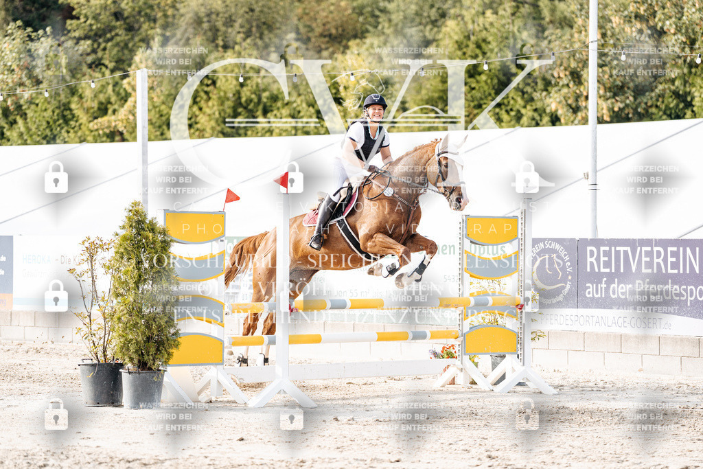 CK906675 | Turnierfotografie Pferdefotografie Trier Rheinland-Pfalz Pferdesport Reitsport Tierfotografie Sportfotografie Pferdevideo Pferdevideografie Equestrianvideography equestrianphotography  - Realisiert mit Pictrs.com
