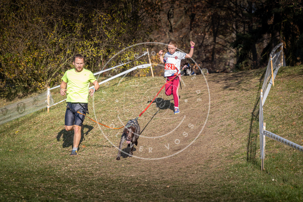 CaniXpix_0L8A8668 | Hundefotografie, Tierfotograf, Pfotenfotografie, Fotoshooting Hund, Hunde Portrait, Hundesport, Hundeportraits, Heideshooting, Hunde, Sportfotograf, Hundefotograf, Turnierhundsport, THS,  - Realisiert mit Pictrs.com