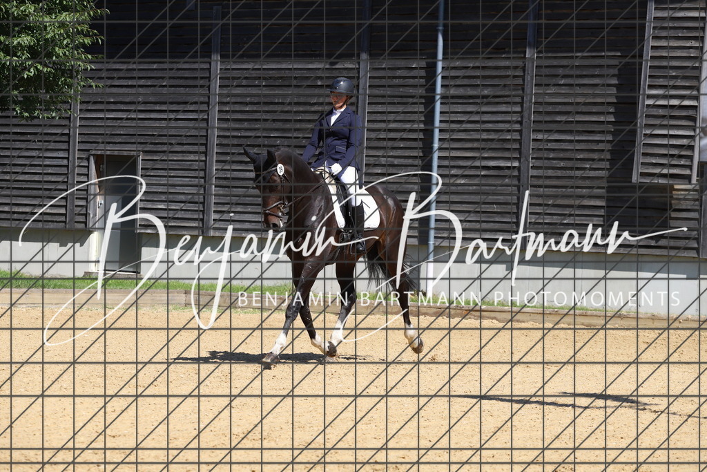 IMG_6517 | Benjamin Bartmann Photomoments