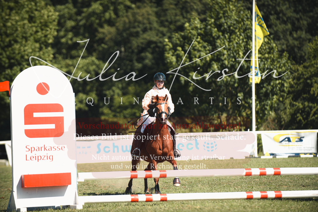 DSC_7379 | Pferde- und Turnierfotografie in Westsachsen. Pferdeportraits, Auftragszeichnungen und intuitive Kunst.