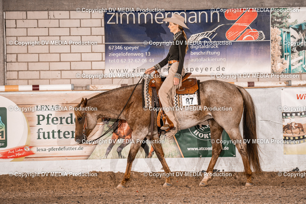 ZH200177 | dv-media-shop - Realisiert mit Pictrs.com