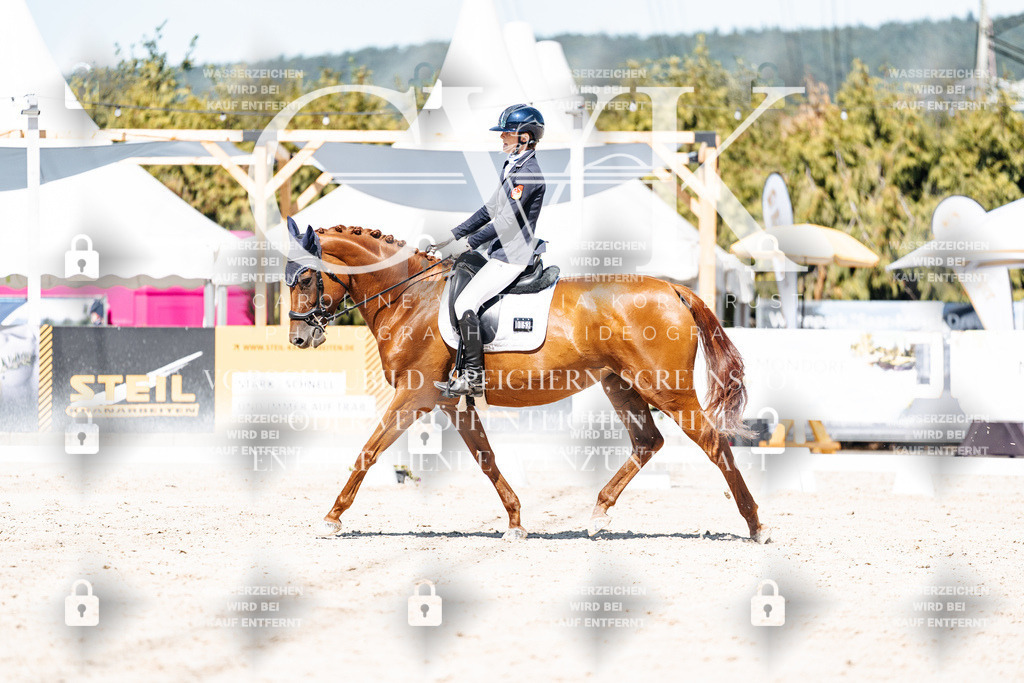 CK909651 | Turnierfotografie Pferdefotografie Trier Rheinland-Pfalz Pferdesport Reitsport Tierfotografie Sportfotografie Pferdevideo Pferdevideografie Equestrianvideography equestrianphotography  - Realisiert mit Pictrs.com