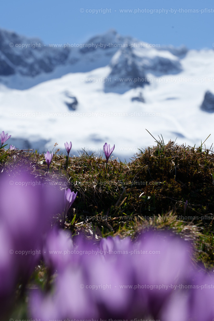  Stilluptal Frühling copyright  Thomas Pfister-13 | PHOTOGRAPHY BY THOMAS PFISTER