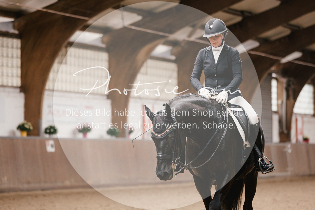 3I6A8595 | Stimmungsvolle Portraits und Reitsportfotografie im Ruhrgebiet und im Münsterland.

Pferdefotografie, Hundefotografie, Tierfotografie, Reportagen, Portraits von Tier und Mensch, Turnierfotografie in Bochum, Recklinghausen, Marl, Haltern am See, Dülmen.. - Realisiert mit Pictrs.com