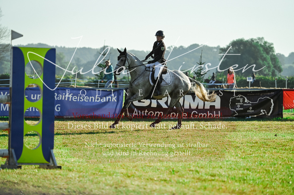 DSC_4243 | Pferde- und Turnierfotografie in Westsachsen. Pferdeportraits, Auftragszeichnungen und intuitive Kunst.