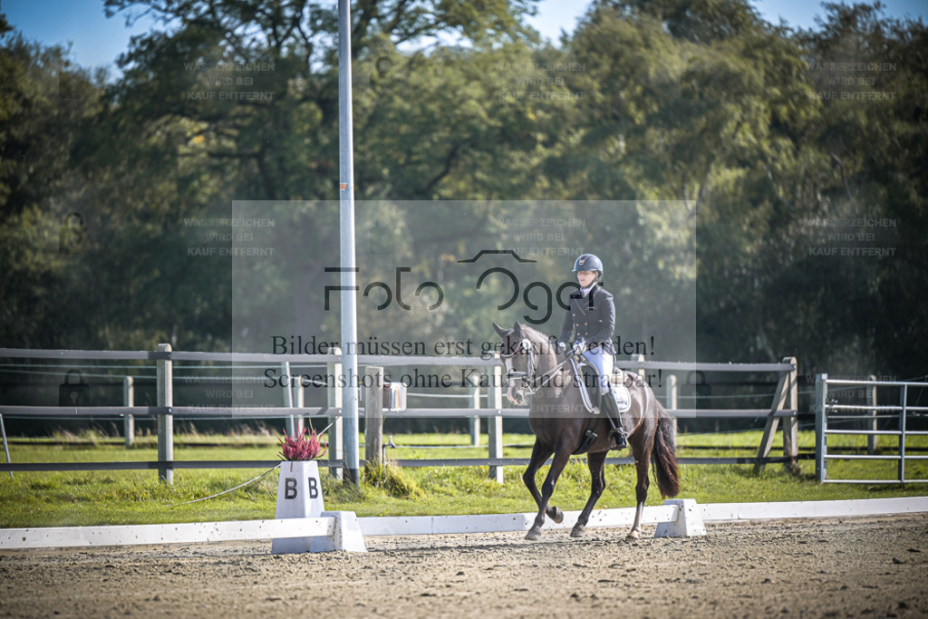 DOS_0816 | Entdecke hochwertige Reitturnierfotos von Foto Oger. Professionell, emotional und authentisch – jetzt Lieblingsmomente im Shop bestellen. - Realisiert mit Pictrs.com