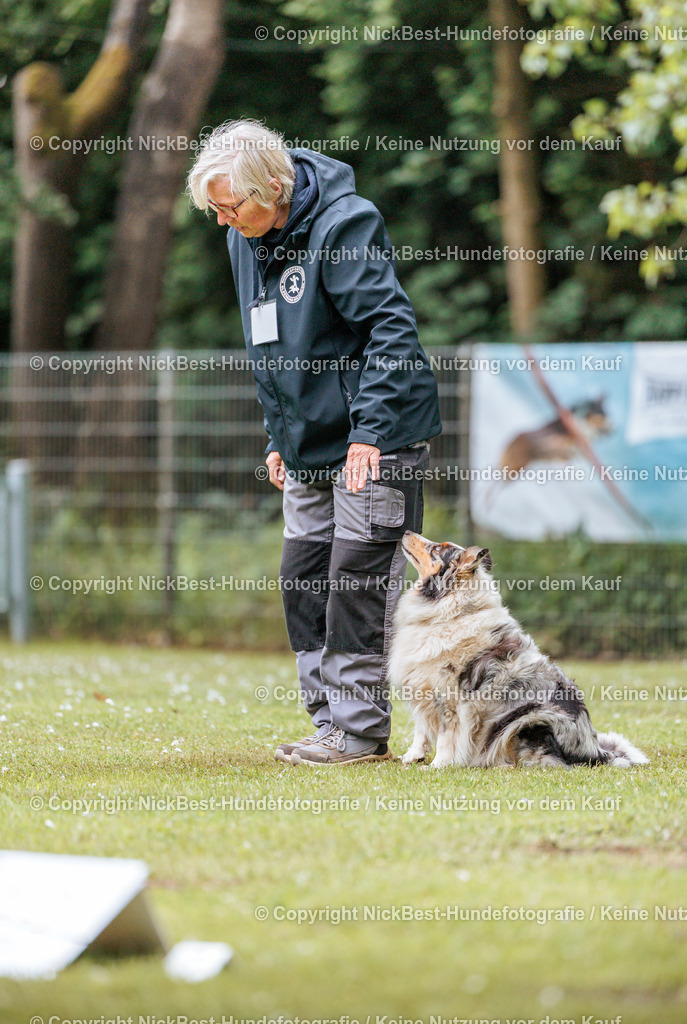 RO-Blumenthal-2026-Nickbest-Hundefotografie-2920 | Dein Hund! Dein Moment! Deine Erinnerungen! Hundefotografie in Bremen Blumenthal. Ich fange die besonderen Momente deines Vierbeiners ein – ob Indoor mit Blitzanlage oder in der freien Natur. Sicher dir dein Moment und dein Termin für eure Erinnerungen.