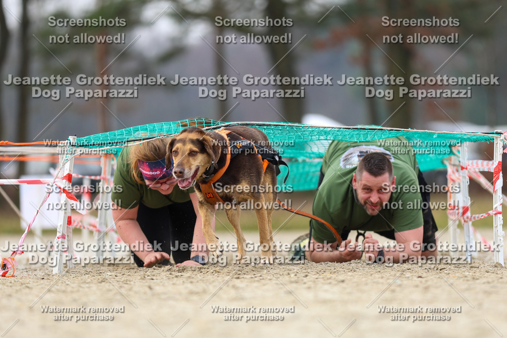 Dog Paparazzi - Strongdog North Mrz26-4627 | Dog Paparazzi Jeanette Grottendiek Fotografie & Videografie - Realisiert mit Pictrs.com