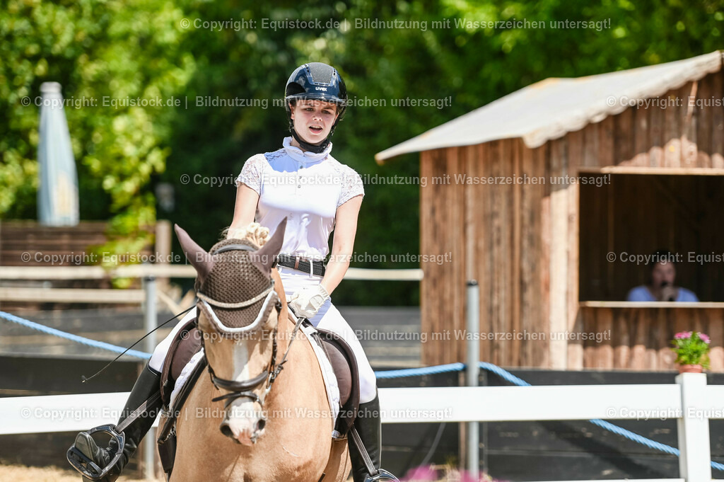 20230715_09_Dressur-WB_0505 | equistock