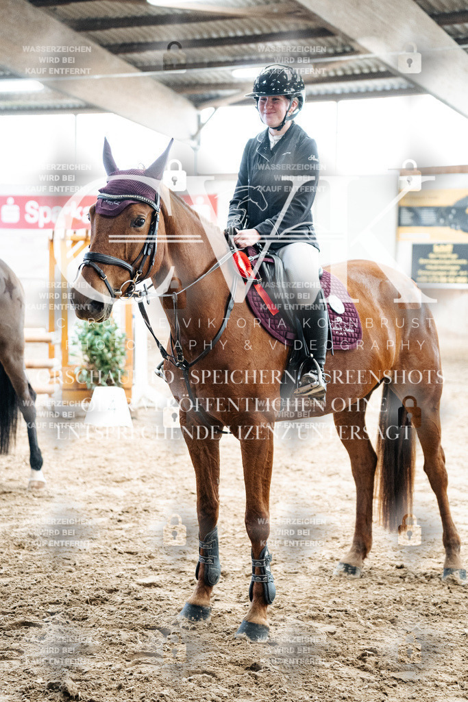 CK702894 | Turnierfotografie Pferdefotografie Trier Rheinland-Pfalz Pferdesport Reitsport Tierfotografie Sportfotografie Pferdevideo Pferdevideografie Equestrianvideography equestrianphotography  - Realized with Pictrs.com