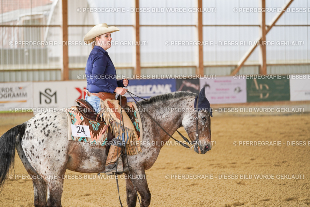 DSC02992 | Pferdegrafie