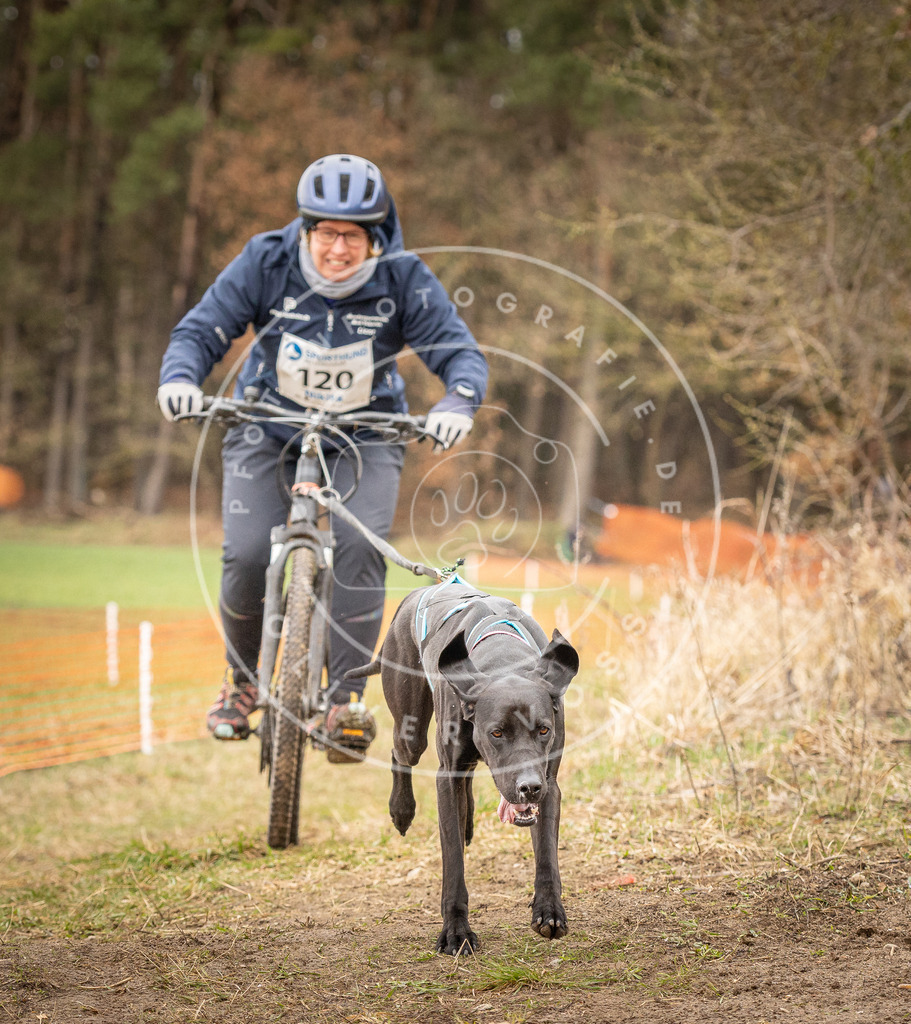 DV3A1065 | Hundefotografie, Tierfotograf, Pfotenfotografie, Fotoshooting Hund, Hunde Portrait, Hundesport, Hundeportraits, Heideshooting, Hunde, Sportfotograf, Hundefotograf, Turnierhundsport, THS,  - Realisiert mit Pictrs.com