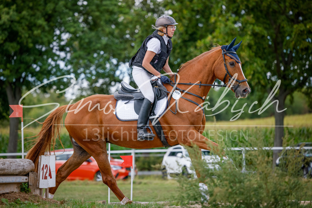 20250905-_3LI0668 | Tierfotografie Pferde, Hunde, Katzen, Haustiere.
Turnierfotografie Reitturniere, Reiten, Springreiten, Dressur in Hanau, dem Main-Kinzig-Kreis und dem Rhein-Main- Gebiet um Frankfurt