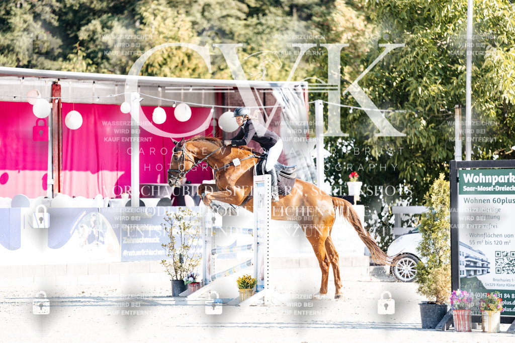 CK901669 | Turnierfotografie Pferdefotografie Trier Rheinland-Pfalz Pferdesport Reitsport Tierfotografie Sportfotografie Pferdevideo Pferdevideografie Equestrianvideography equestrianphotography  - Realisiert mit Pictrs.com