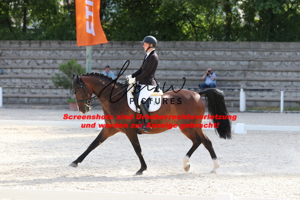 IMG_5733 | lmwpictures - Realisiert mit Pictrs.com