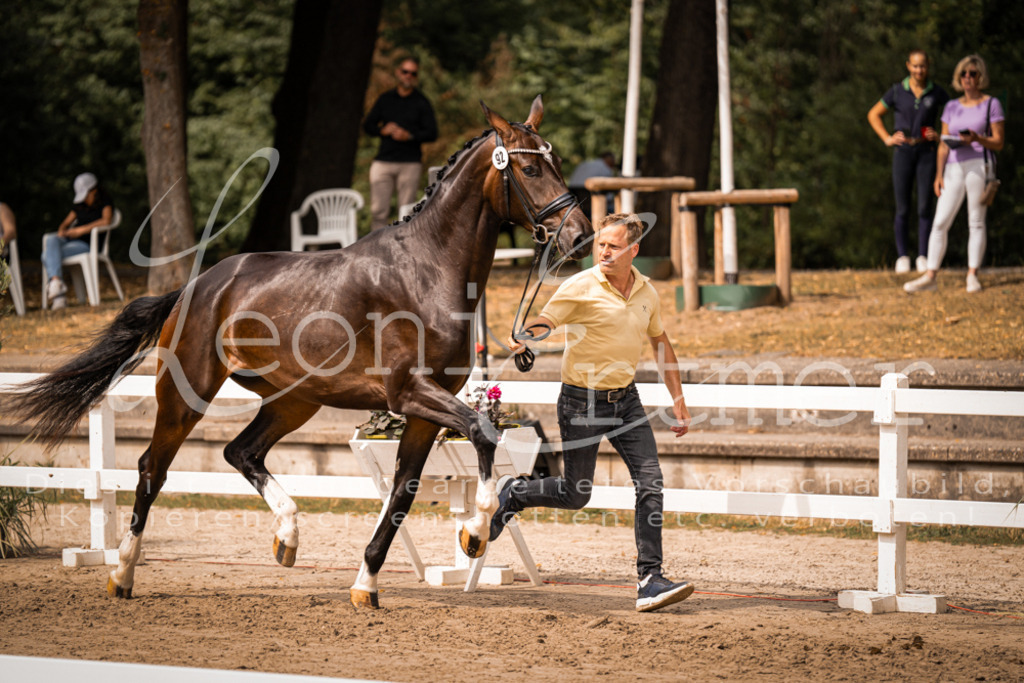 6.Fr00021 | Leoni Ertmer Photography - Realisiert mit Pictrs.com