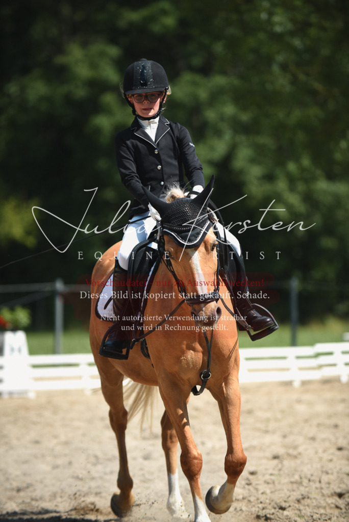 DSC_2461 | Pferde- und Turnierfotografie in Westsachsen. Pferdeportraits, Auftragszeichnungen und intuitive Kunst.