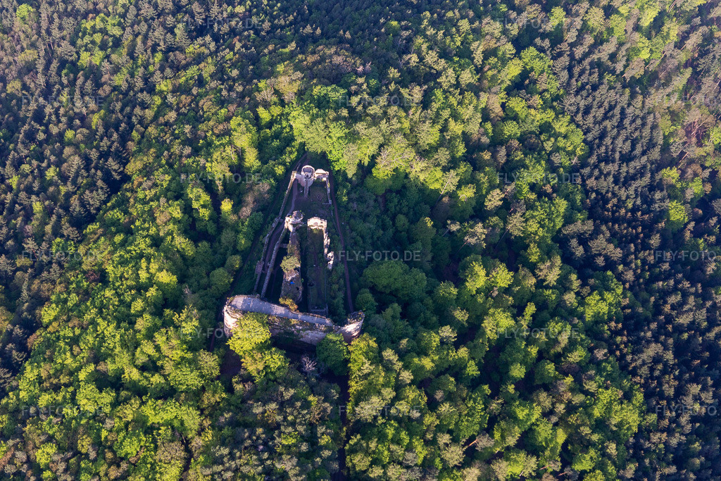Luftbild: Burgruine Neuscharfeneck in Flemlingen im Bundesland Rheinland-Pfalz in Deutschland. Foto: IMG_113900.jpg vom 01.05.2019 durch Werner Riehm/FLY-FOTO.de