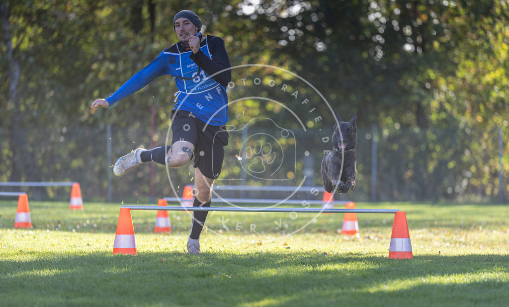 Pfotenfotografie.de_DV3A3124 | Hundefotografie, Tierfotograf, Pfotenfotografie, Fotoshooting Hund, Hunde Portrait, Hundesport, Hundeportraits, Heideshooting, Hunde, Sportfotograf, Hundefotograf, Turnierhundsport, THS, canicross - Realisiert mit Pictrs.com