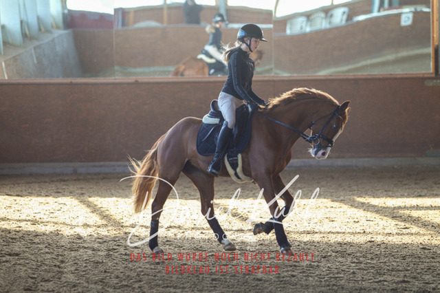 DKP42158 | Turniersportfotografie; Pferdefotografie; Dressurfotografie