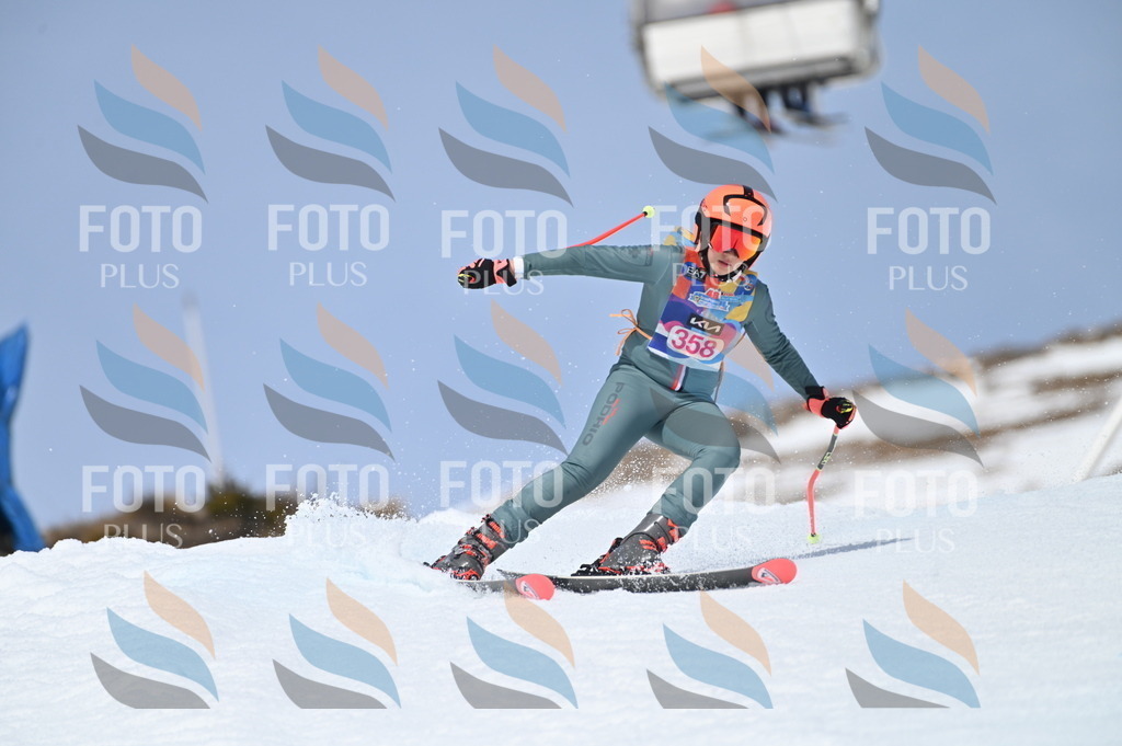 BGV_3794 | holidayphoto