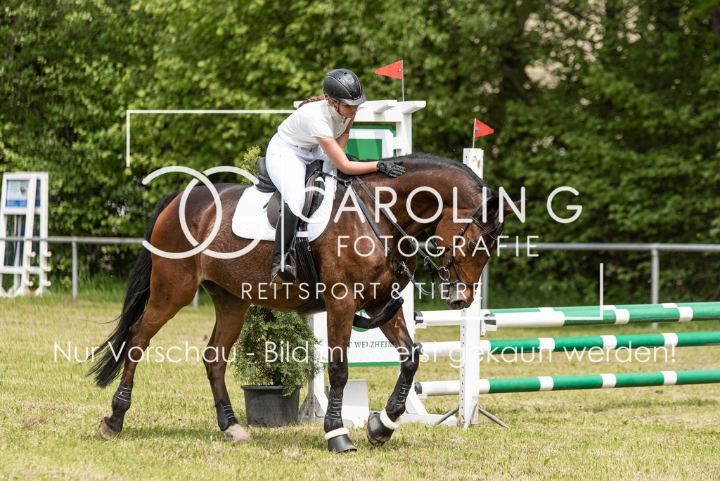 DSC_2887 | Turnierfotografin Carolin Gieschke, Turnierfotografie Carolin G Fotografie, Turnierfotos Kirchheim/Teck, Esslingen, Stuttgart, Bodenseekreis