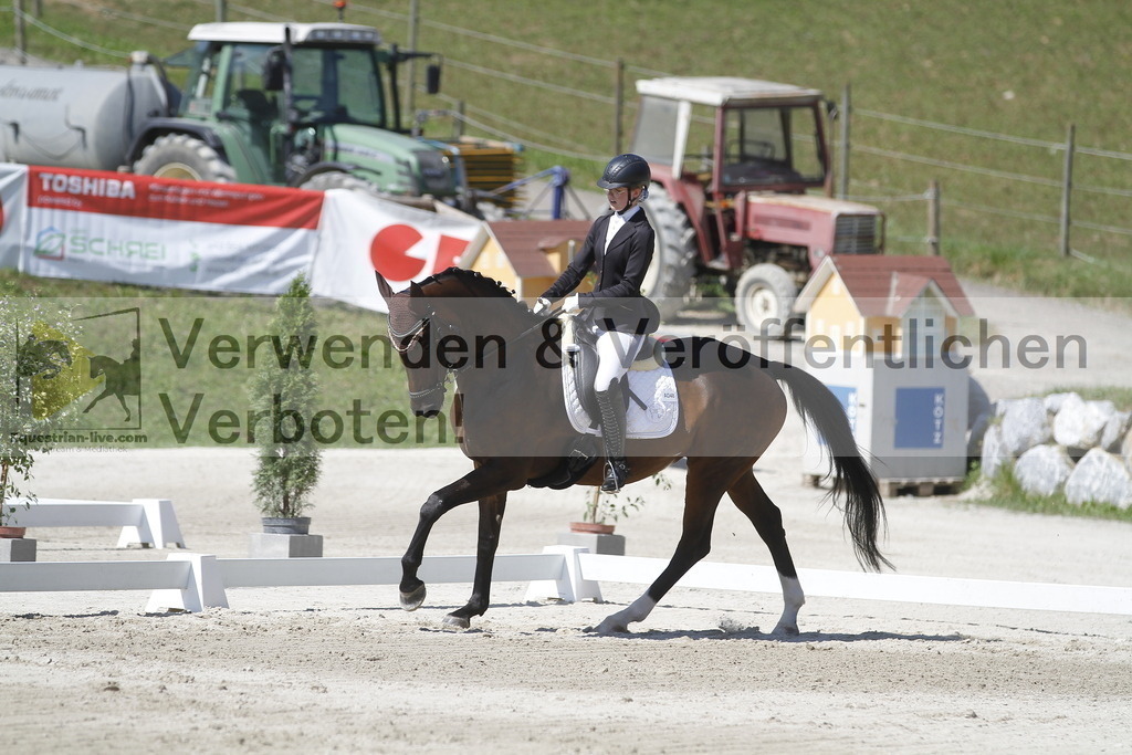 _MG_0549 | equestrian-live-com