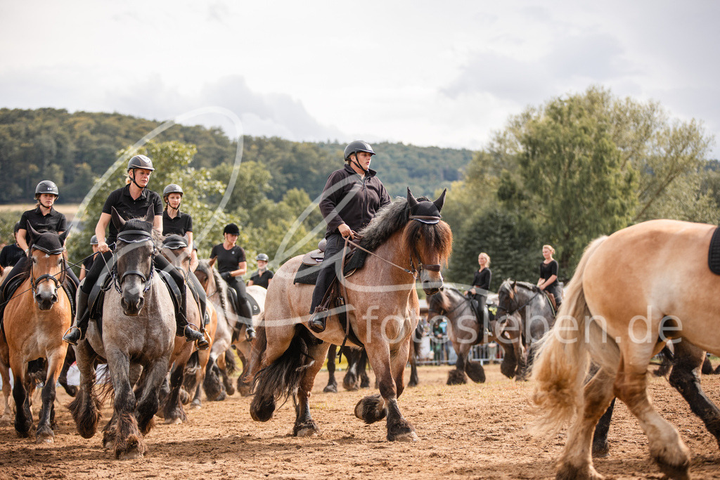 846A4031 | fotosleben - Realisiert mit Pictrs.com