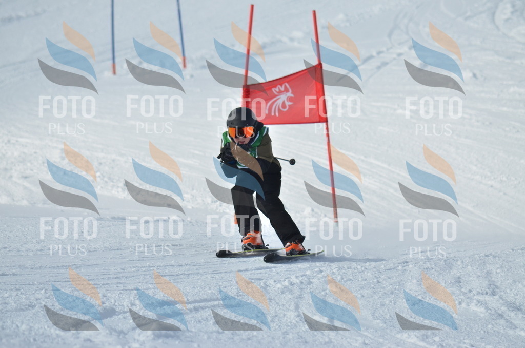 D8773 | holidayphoto