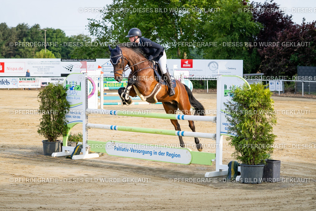 DSC01800 | Pferdegrafie