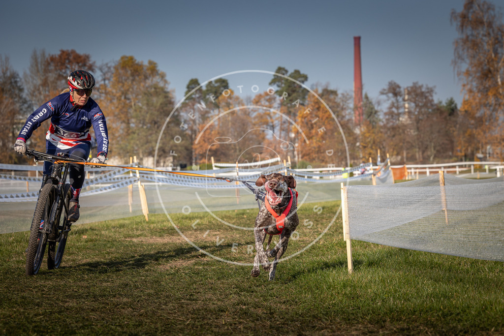 CaniXpix_0L8A7213 | Hundefotografie, Tierfotograf, Pfotenfotografie, Fotoshooting Hund, Hunde Portrait, Hundesport, Hundeportraits, Heideshooting, Hunde, Sportfotograf, Hundefotograf, Turnierhundsport, THS,  - Realisiert mit Pictrs.com
