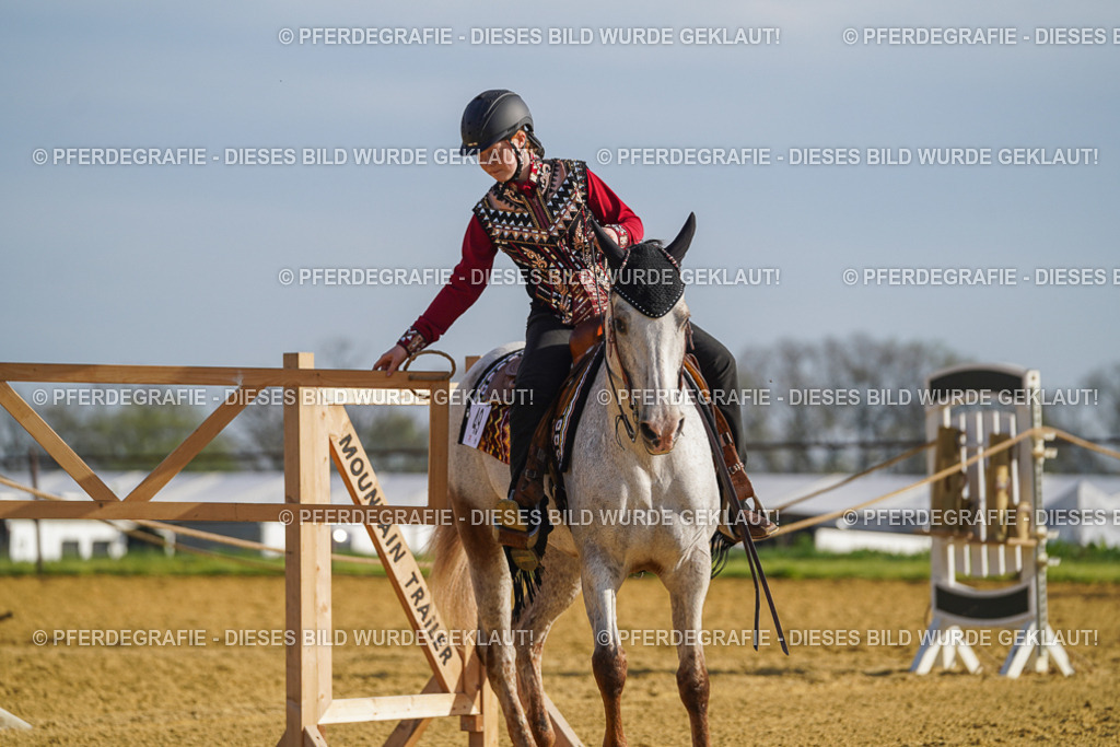 DSC00872 | Pferdegrafie