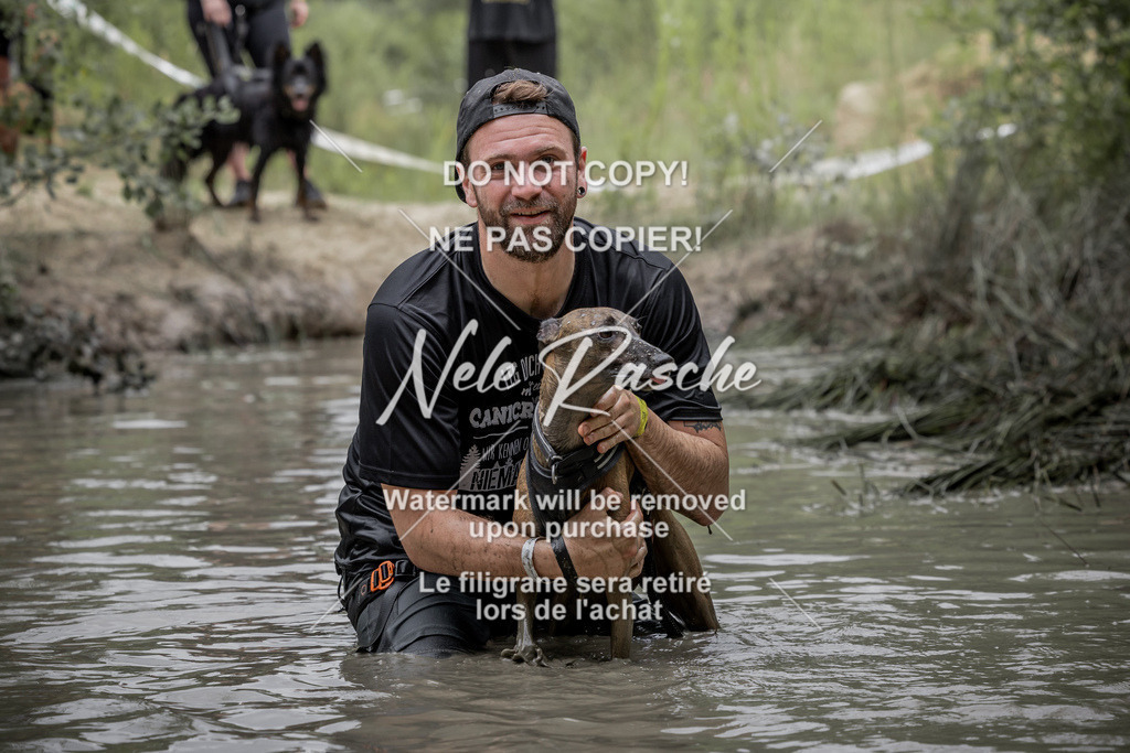 nelerasche_1400-1445_60 | nelerasche