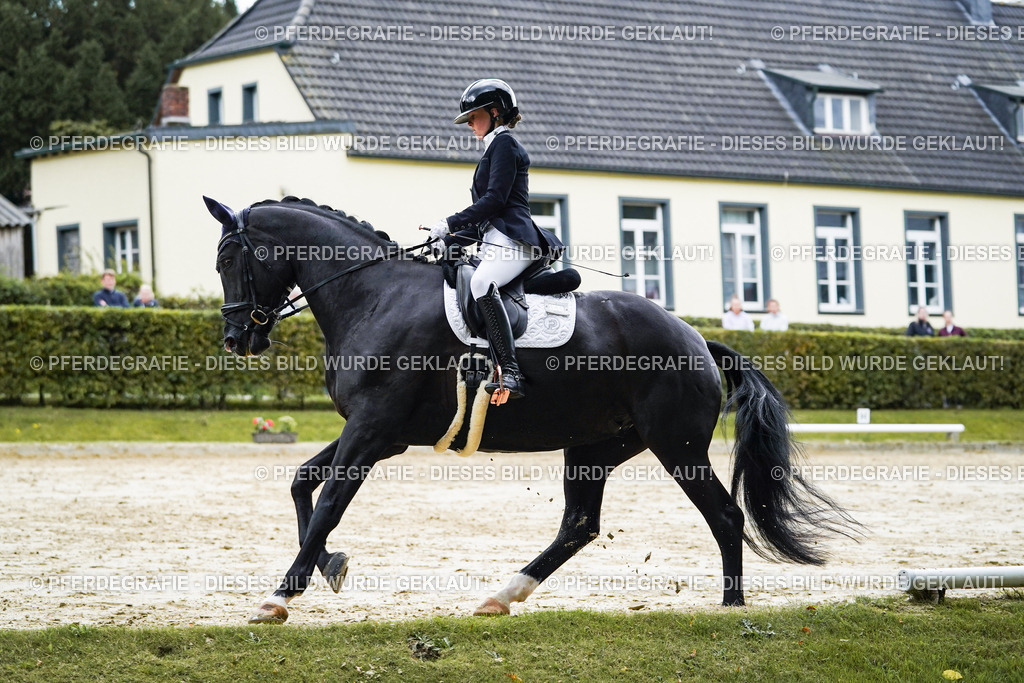 DSC06548 | Pferdegrafie