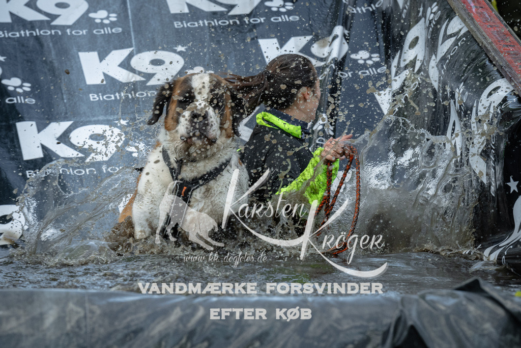 1600_ZZ91756 | kk-dogfotos