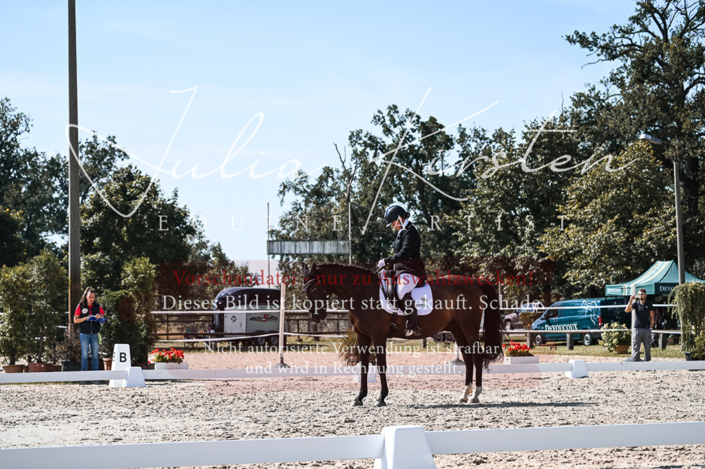 DSC_4990 | Pferde- und Turnierfotografie in Westsachsen. Pferdeportraits, Auftragszeichnungen und intuitive Kunst.