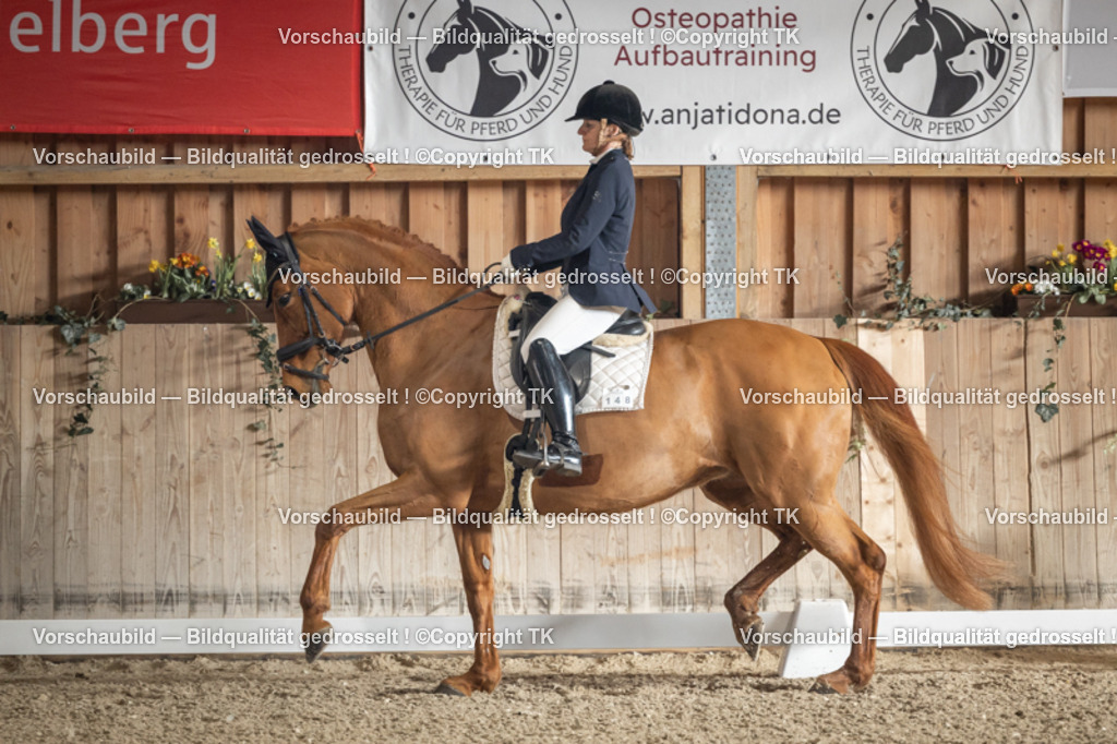 _D5A4366 | Emotionale Pferde- & People-Fotografie rund um Heidelberg, Leimen & Umgebung. Natürliche Fotos von Pferd, Mensch & Familie. Jetzt Termin sichern!