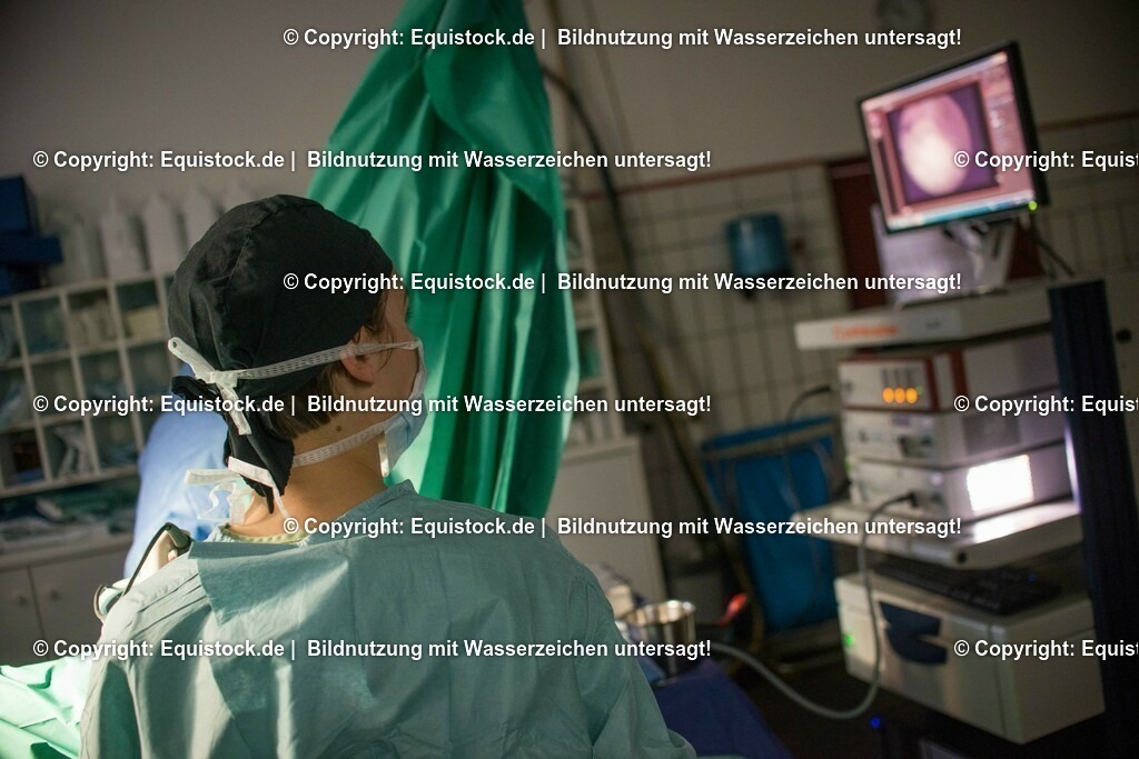 20160315_Arthroskopie_0034 | equistock