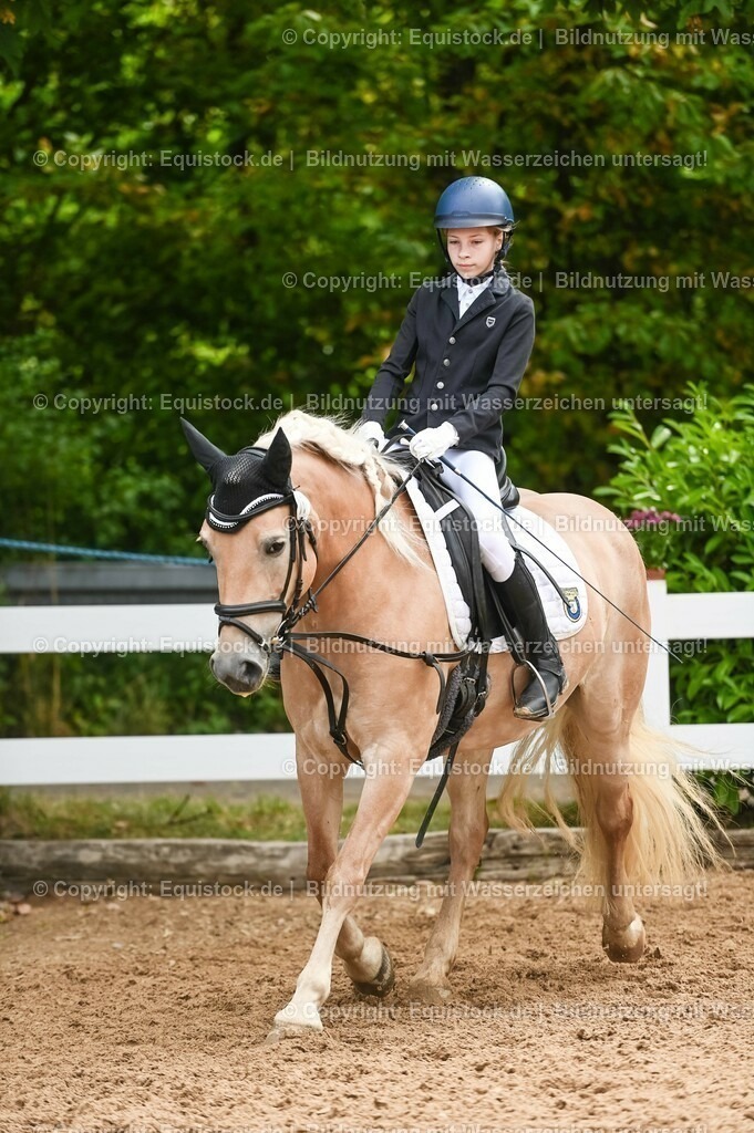20230716_10-2_Reiter-WB Schritt - Trab - Galopp_0011 | equistock